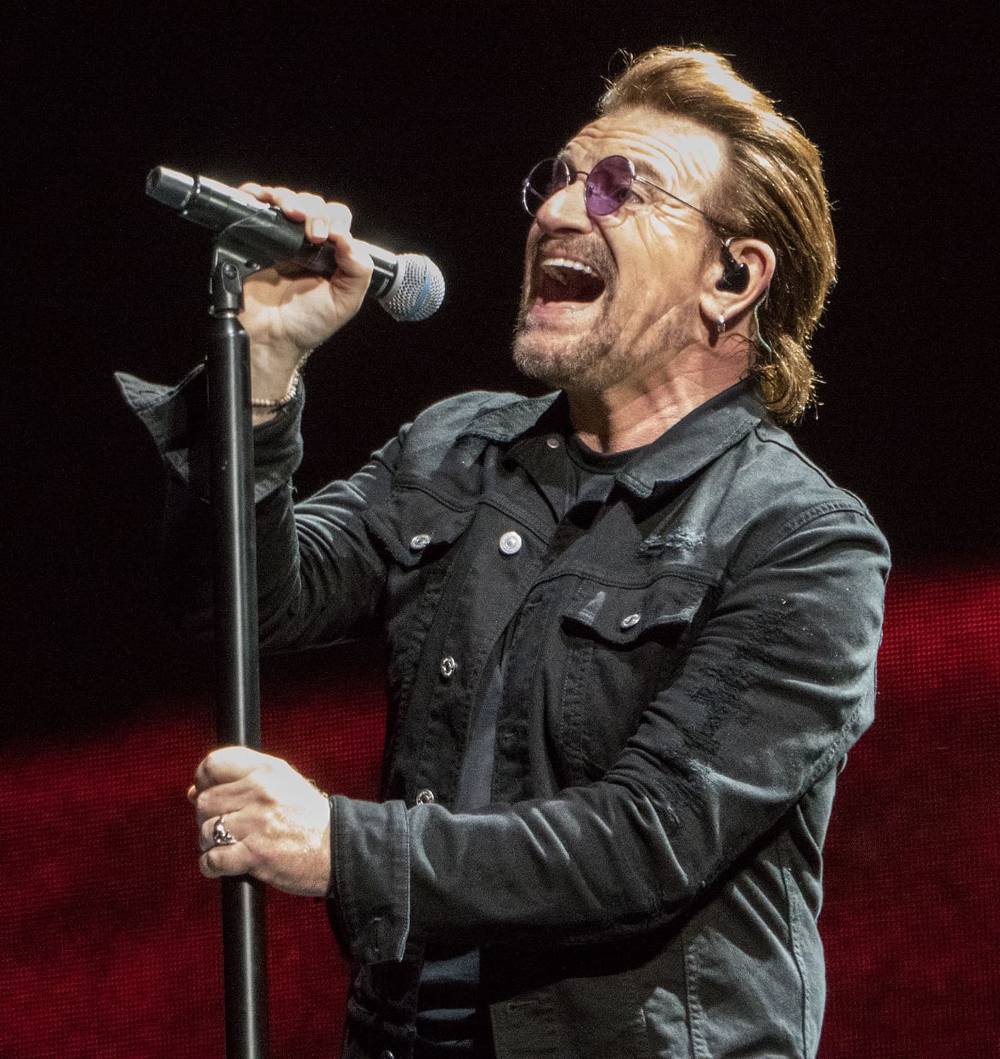 Portrait of Bono
